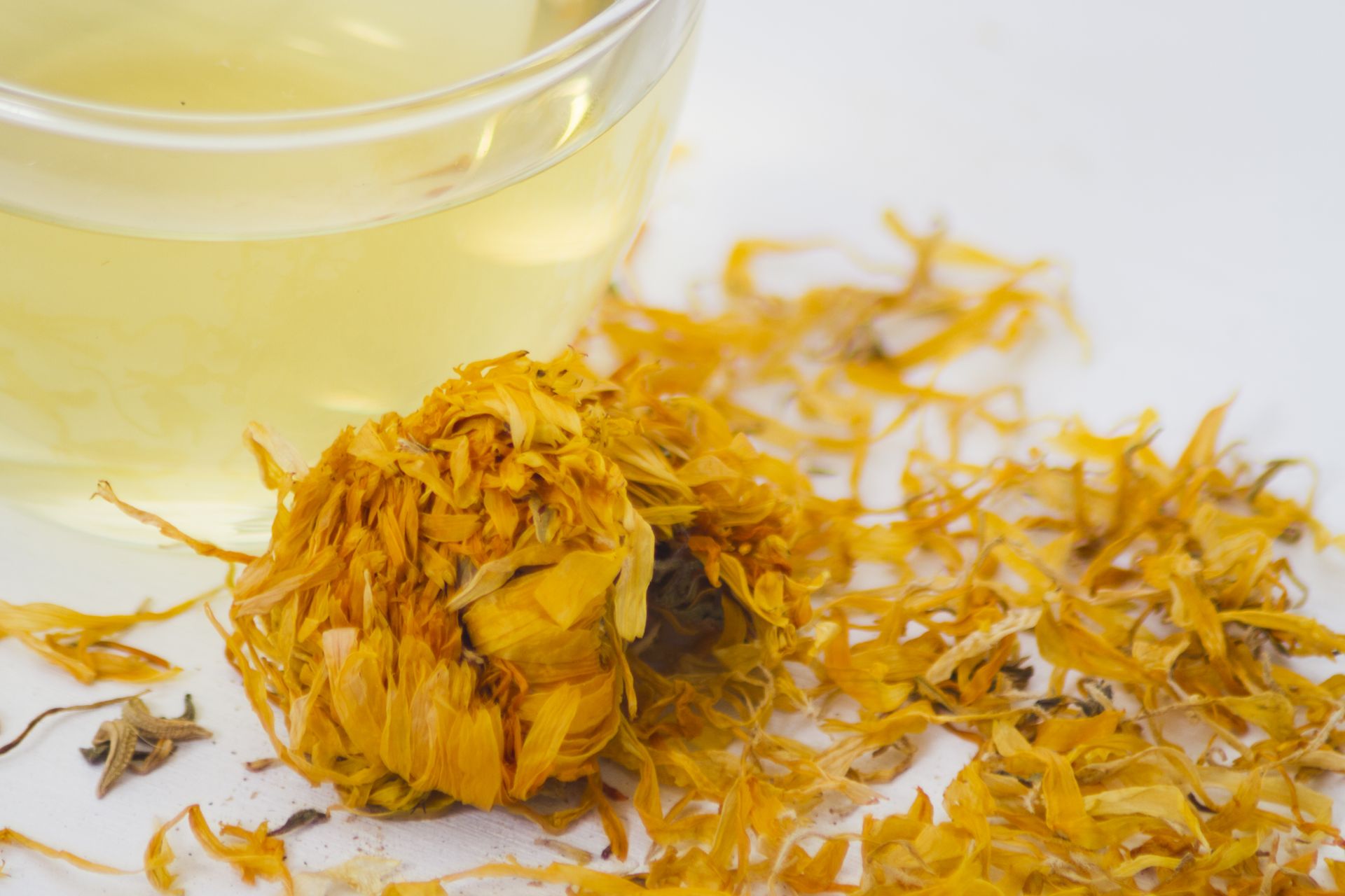 Calendula